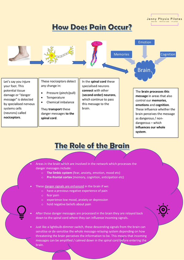 Pain Infograph